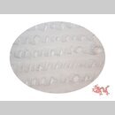 Natron - E500 - Natriumbicarbonat        250g   AZX763